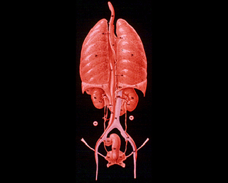 Illustration for article titled This awesome image may be found by aliens one day, floating in space